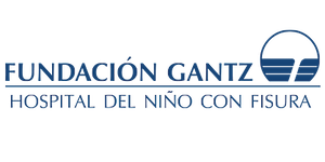 gantz logo