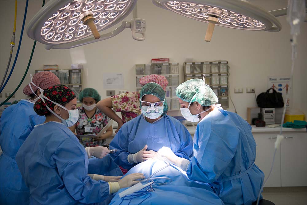 Dr Gloria under bright operating room lights