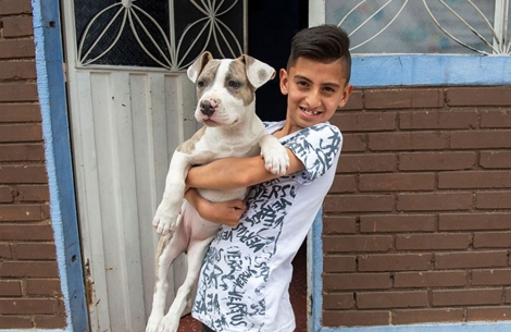 Cristian holds one of his dogs