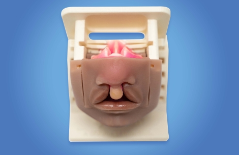 Simulare Bilateral Cleft Lip Palate Simulator