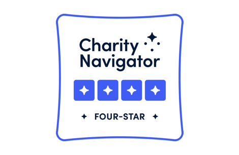 charity natigator seal