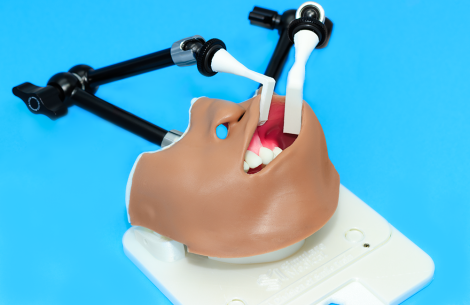 Alveolar Bone Graft Simulator