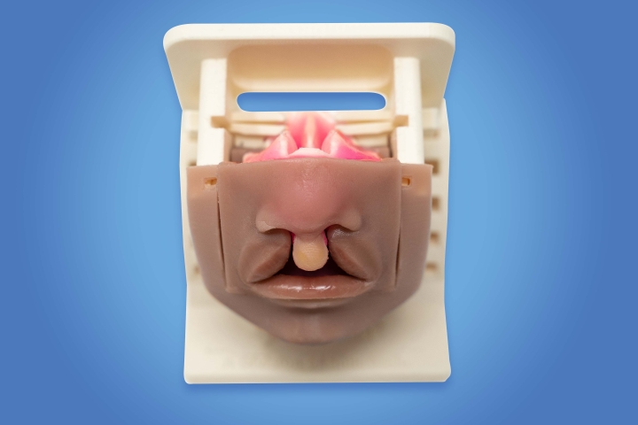 Simulare Bilateral Cleft Lip Palate Simulator