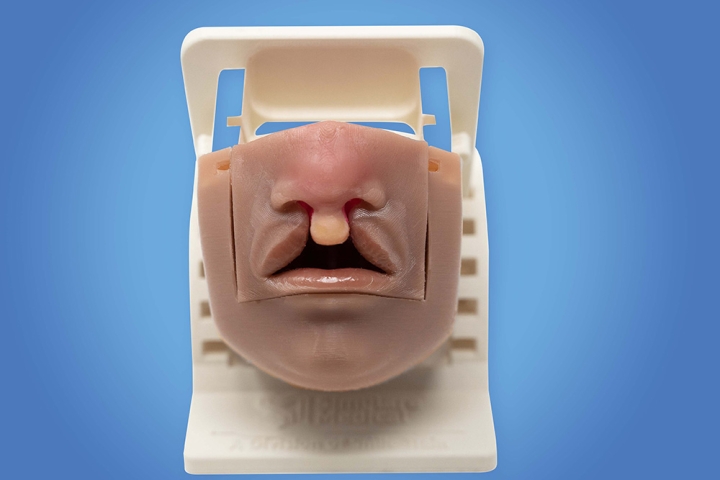 Simulare cleft palate