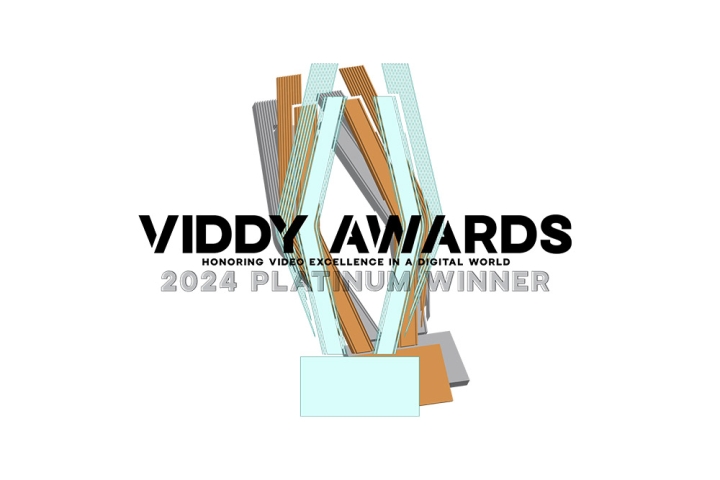 Viddy Awards Logo