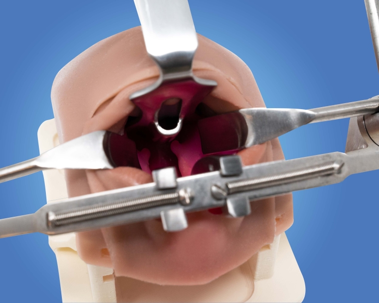 The Simulare Bilateral Cleft Lip and Palate Simulator Image 2