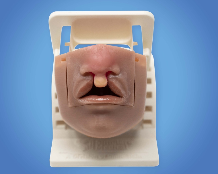 The Simulare Bilateral Cleft Lip and Palate Simulator Image