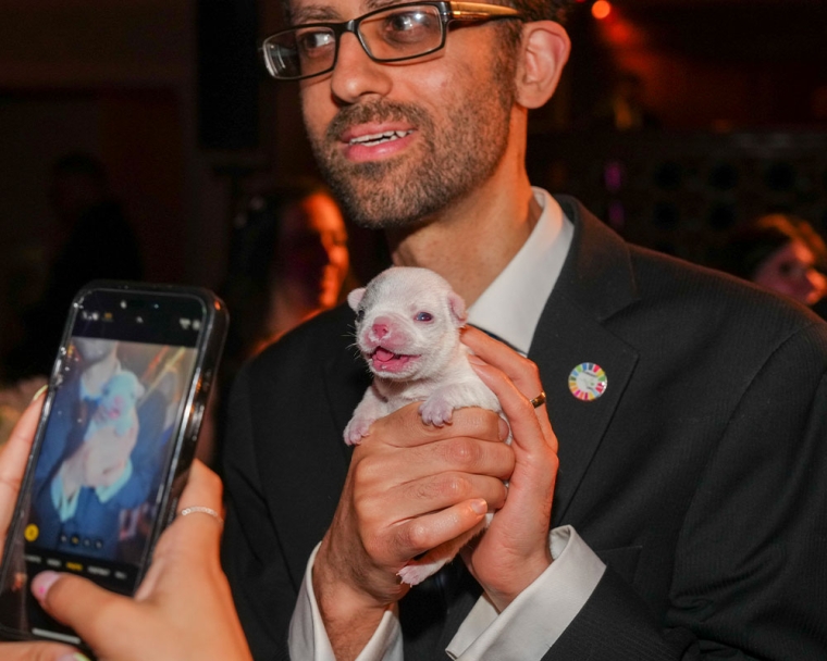 A man holds a French bulldog puppy with a cleft