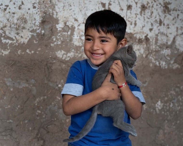 Walter smiles and hugs a tiny, ash-colored kitten