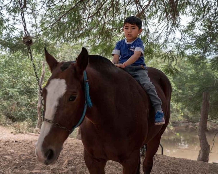 Walter concentrates while sitting on top of a horse under a tree