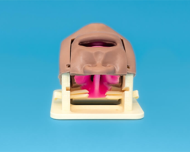 Front facing cleft cartridge