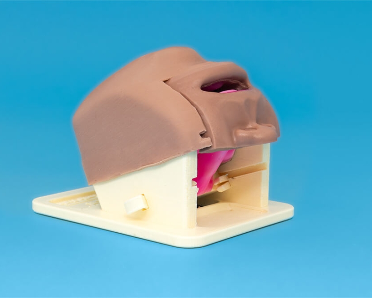 Side head cleft cartridge