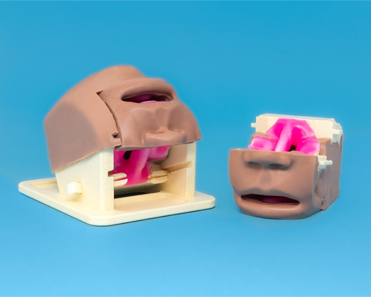 Demo of cleft palate